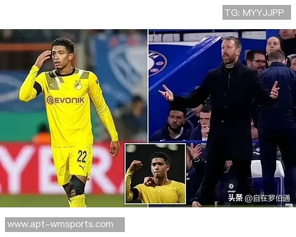 阿德耶米因非法持有武器被罚款45万欧元引发广泛关注